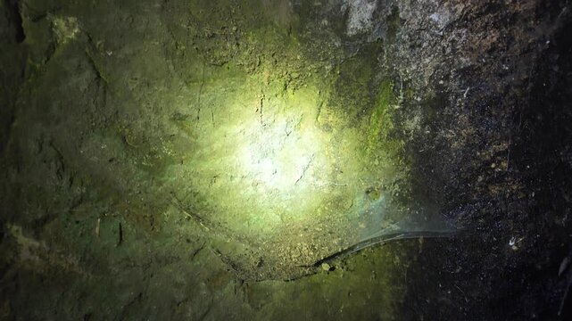 Salina, Malta - a circular rock-cut agape table sits between two baldacchino style tombs inside an ancient Paleo-Christian catacomb, with the shot sliding down to reveal moss-covered greenish stone an