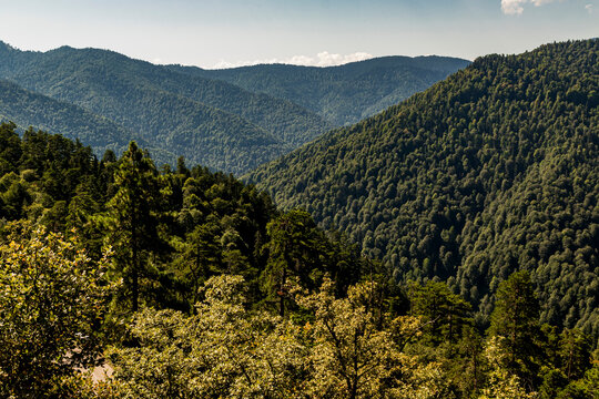 Scenic view of lush green forest mountains and deep valley under a clear blue sky
