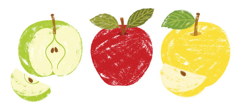 Textured apple vector set. Hand-drawn fruits in chalk or crayon style isolated on white background. Collection of red, yellow, and green apples, including whole, half cut with seeds, and fresh slices.