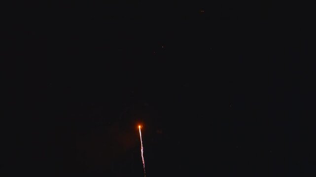 Bright fireworks burst in the dark sky above a city park during a celebration. The colorful lights fill the night as people enjoy the show. Excitement fills the air.