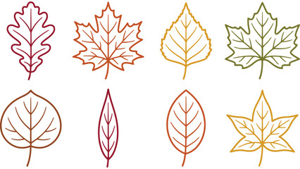 Autumn oak leaves and acorn border. Fall season decorative pattern with forest elements. © Mahraz
