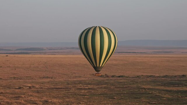 Slow motion aerial landscape of Maasai Masai Mara national park wildlife reserve in Kenya, Africa as hot air balloon safari above golden sunlight sunrise morning rise above safari African grassland 4k