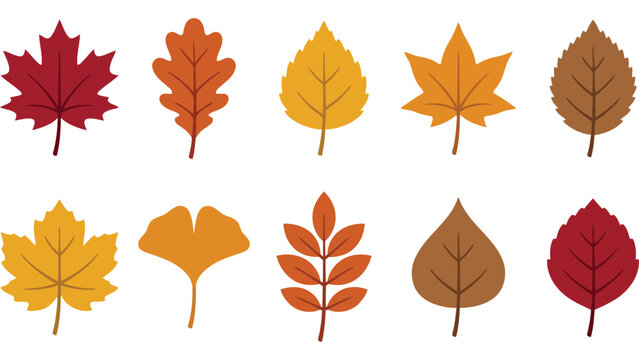 Group of colorful autumn pumpkins. Seasonal harvest vegetables for Thanksgiving design.