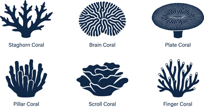 Set of six different types of coral reef icons