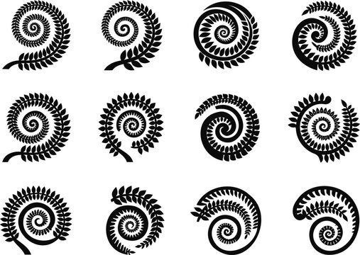 Set of black fern koru spiral plant symbols