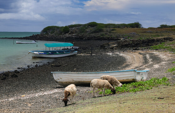 Scenic landscape of Pointe Palmiste Beach on Rodrigues Island, Mauritius. Beautiful landscape of Rodrigues Island