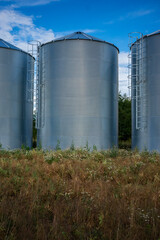 Three modern corrugated steel grain silos standing on an agricultural field. shot of shiny silver storage tanks with safety ladders under a beautiful blue sky with white clouds. © Fotoforce