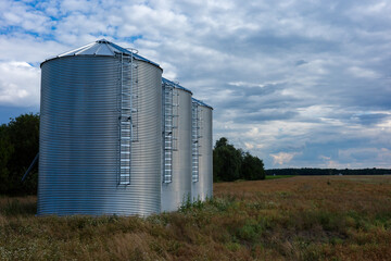 Three modern corrugated steel grain silos standing in a row on a farm field. Agricultural storage tanks with ladders under a blue sky with white clouds. Industry and farming concept. © Fotoforce