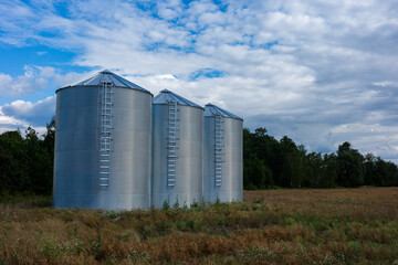 Three modern corrugated steel grain silos standing in a row on a farm field. Agricultural storage tanks with ladders under a blue sky with white clouds. Industry and farming concept. © Fotoforce