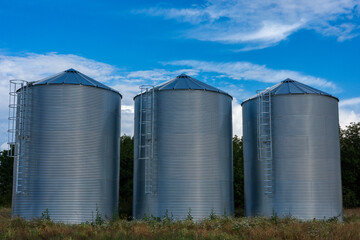 Three modern corrugated steel grain silos standing in a row on a farm field. Agricultural storage tanks with ladders under a blue sky with white clouds. Industry and farming concept. © Fotoforce