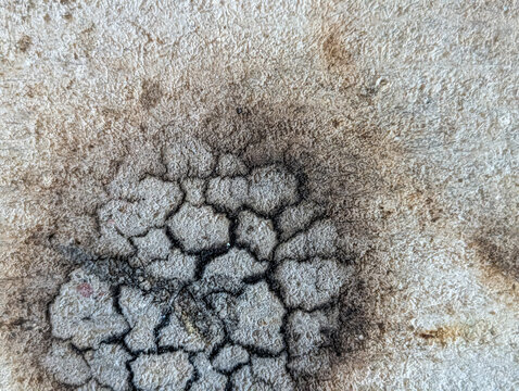 Burned Gypsum Board Surface with Charred Crack Pattern Showing Fire Damage and Distressed Texture