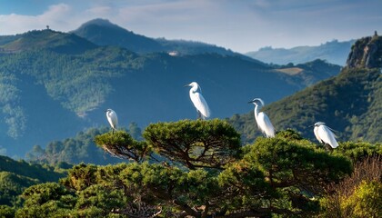 Fototapeta premium against the backdrop of a mountain landscape stretching into the distance small white little egrets perched atop the green trees