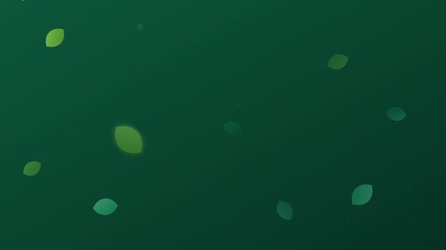organic leaf growth eco green transition animation