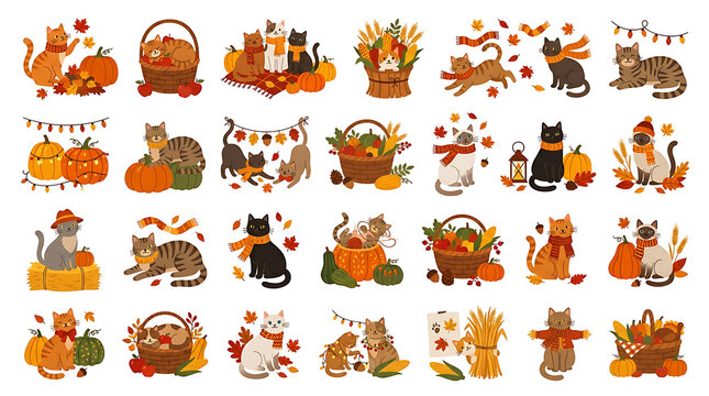 A charming collection of autumn-themed illustrations featuring cute cats, pumpkins, and fall leaves, ideal for seasonal designs and decorations.