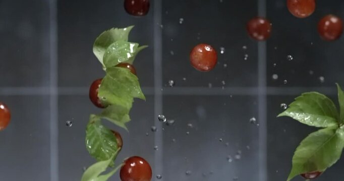 Fresh grapes with leaves and water drops floating in super slow motion