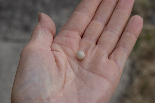 Hand holding a small tablet of horses medication for Equine Cushing's Disease. Equine medication. Horse treatment. Equestrian
