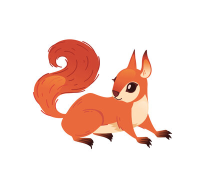 Playful red squirrel running with open eyes. Cute cartoon forest animal in motion with long fluffy tail and paws. Flat design element. Vector illustration isolated on white background.