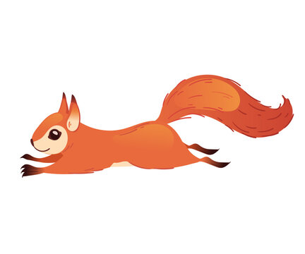 Cute red squirrel hanging on a branch. Sweet cartoon forest animal with long curved fluffy tail and small paws. Flat design element. Vector illustration isolated on white background.