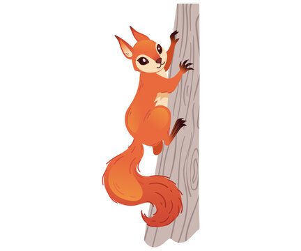 WebCute red squirrel doing split on floor. Funny cartoon forest animal with big vertical fluffy tail and wide paws. Flat style design element. Vector illustration isolated on white background.