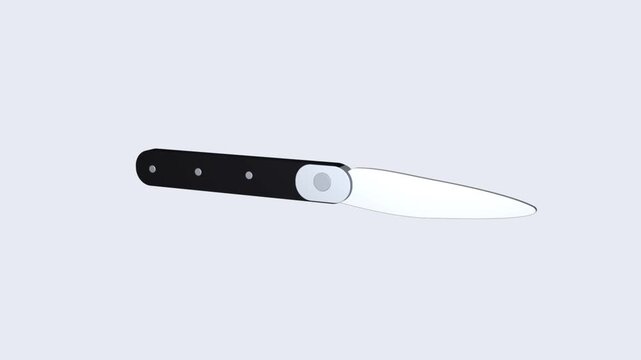 4K 3D Knife Spin