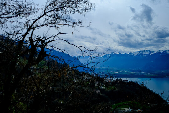 A stunning high-angle landscape captures the blue expanse of Lake Geneva and the snow-capped Swiss Alps under a dramatic, overcast sky. Framed by the silhouette of bare winter tree branches in the for