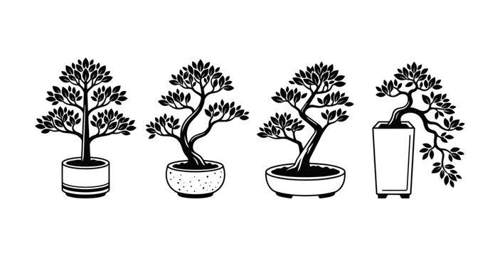 Bonsai Trees Vector Illustration