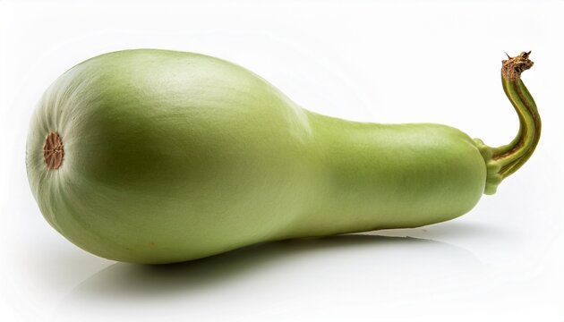 fresh bottle gourd calabash vegetable lagenaria siceraria healthy eating ingredient raw food gourds on white background