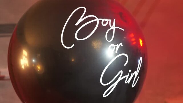 Close-up of a big black balloon with elegant white inscription Boy or Girl at a gender reveal party indoors.