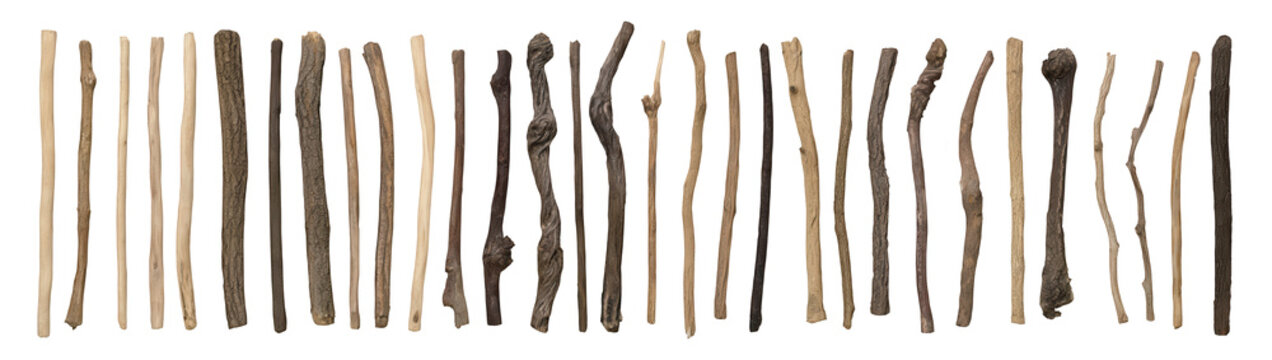 A collection of wooden sticks on transparent background