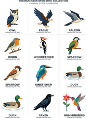 Obraz premium Premium geometric bird collection wildlife illustration with wildlife, geometric