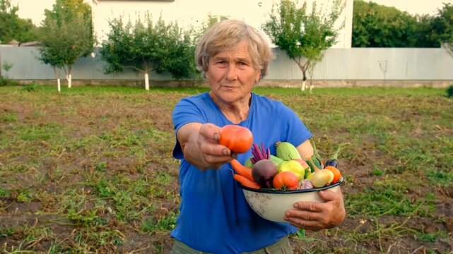 Grandma holds vegetables in the garden. Selective focus.
