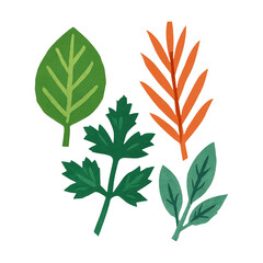 Obraz premium PNG Colorful hand-drawn leaves illustration
