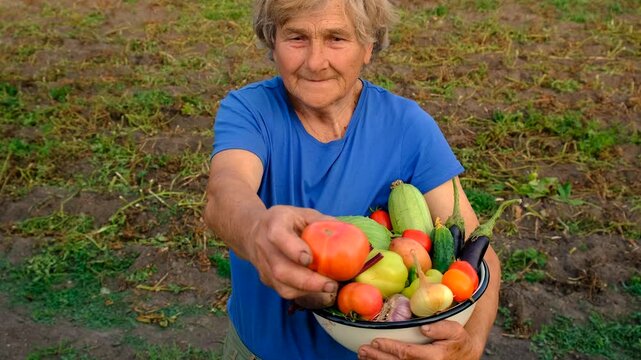 Grandma holds vegetables in the garden. Selective focus.