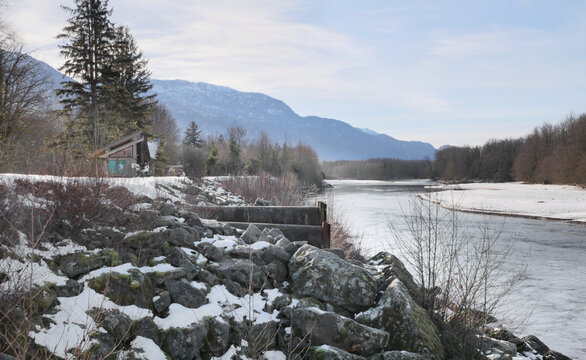 Brackendale Eagle Run Vista Point along the Squamish River during a winter season in Squamish, British Columbia, Canada