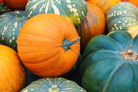 Orange and green pumpkins displayed on hay bales at an autumn harvest festival. Rustic seasonal scene with colorful squash and gourds, perfect for fall and Thanksgiving themes.