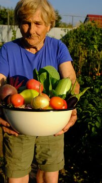 Grandma holds vegetables in the garden. Selective focus.