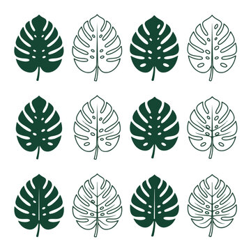Tropical Monstera Leaf Pattern Green Silhouette and Outline Icons