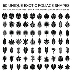 60 Unique Exotic Foliage Shapes Vector Jungle Leaves Black Silhouettes © Nana