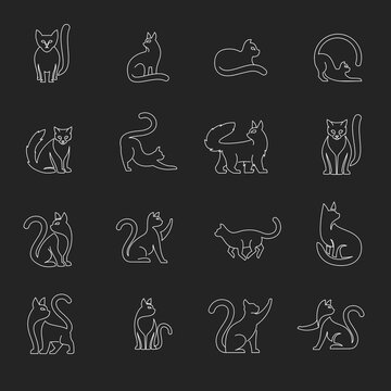 Set of Minimalist Cat Poses Line Art Icons on Black Background