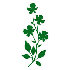 Obraz premium Green Shamrock Plant with Three Leaves for Good Luck.