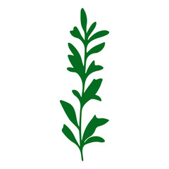 Fototapeta premium Green Herbal Plant with Multiple Leaves for Nature and Health.
