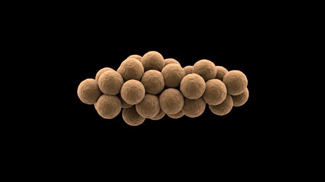 High-contrast 3D render of a cluster of spherical Staphylococcus bacteria (cocci), isolated against a solid pitch-black background. Excellent for microbiology documentaries, medical infection educatio