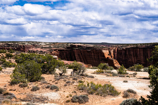 The rugged red sandstone cliffs of Canyon De Chelly newar Chinle, Arizona on the Navajo Nation