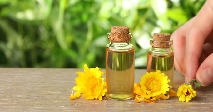Woman putting calendula oil and flower onto wooden table outdoors, closeup