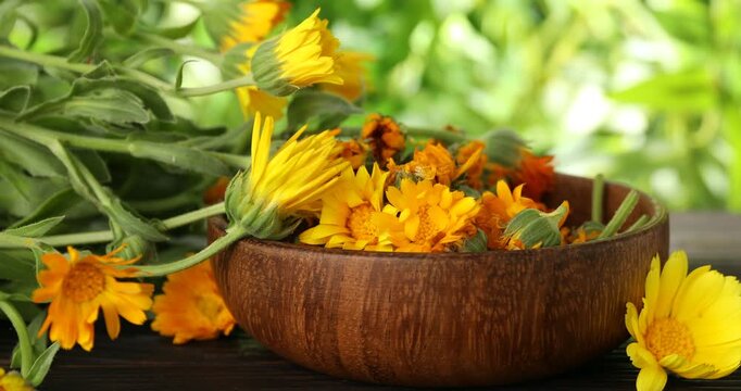 Putting calendula flowers into bowl at wooden table outdoors, closeup