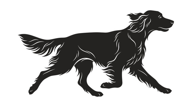 Irish Setter dog sprinting in motion. Dynamic black silhouette of a running purebred hunting hound.