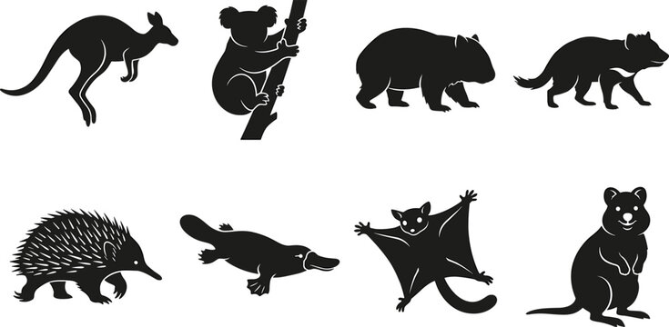 Australian native wildlife black silhouette vector icon set featuring kangaroo koala wombat platypus echidna and sugar glider