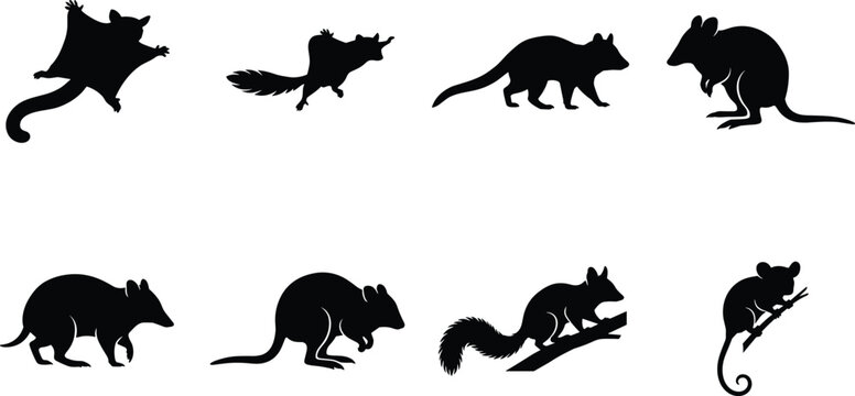 Australian wildlife vector silhouette collection featuring a sugar glider, possum, wallaby, wombat, and other small mammals