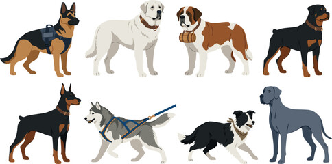 Large and Working Dog Breeds Vector Illustration Set Featuring German Shepherd Central Asian Shepherd St Bernard Rottweiler Doberman Siberian Husky Border Collie and Great Dane © Ruhul