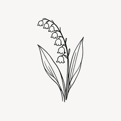 Obraz premium Minimalist line drawing of a lily of the valley flower on a white background.